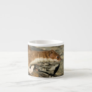 Taza De Espresso Sniffing Weasel
