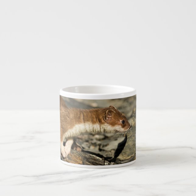 Taza De Espresso Sniffing Weasel (Frente)