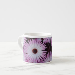 Taza De Espresso Sudáfrica, Provincia del Cabo Occidental