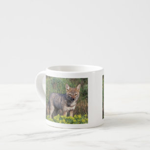 Taza De Espresso Sudamérica, Chile, Parque Nacional Torres del Pain