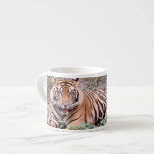 Taza De Espresso Sumatra Tiger Espresso Mug