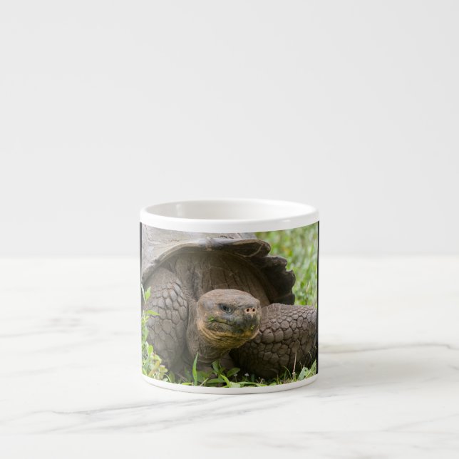 Taza De Espresso Tortuga gigante (Frente)