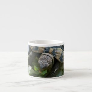 Taza De Espresso Tortuga linda