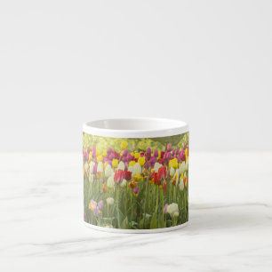 Taza De Espresso Tulipanes coloridos en un parque 2