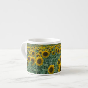 Taza De Espresso UE, Francia, Provenza, Campo de girasoles