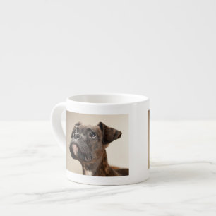 Taza De Espresso Un perrito Brindle del boxeador que mira para