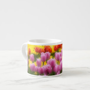 Taza De Espresso WA, Valle de Skagit, Jardín de Tulipanes Roozengaa