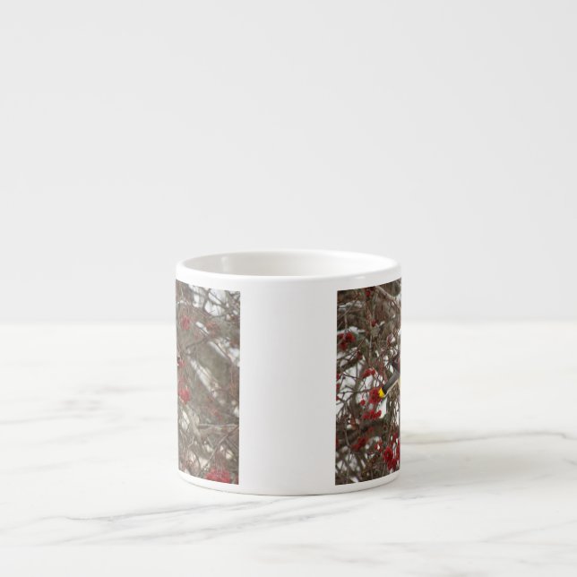 Taza De Espresso Waxwing de cedro (Frente)