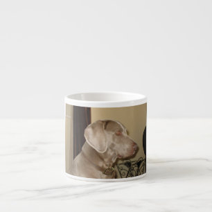 Taza De Espresso weimaraner.png