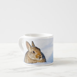Taza De Espresso Wyoming, condado de Sublette, conejo de Nuttall