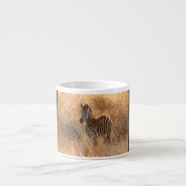 Taza De Espresso Zebra foal in morning light (Frente)