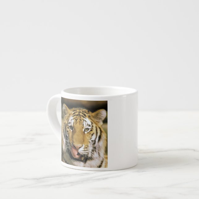 Taza De Espresso Zoológico de Tiger Michigan (Izquierda)