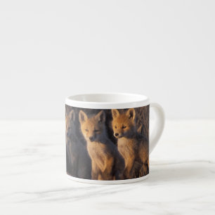 Taza De Espresso zorro rojo, Vulpes vulpes, crías