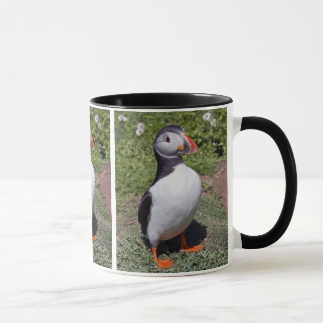 Taza de frailecillo (Derecha)