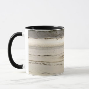 Taza de galgo 01
