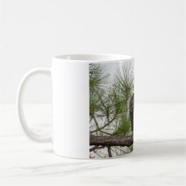 Taza de H&O (diversas opciones)