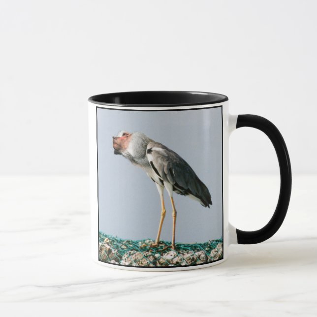 Taza de Heronboon (Derecha)