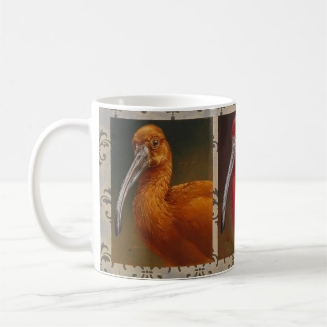 Taza de Ibis del escarlata de Andrew Denman (Izquierda)