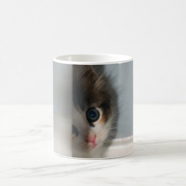 Taza de Innoncene (Centro)