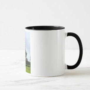 Taza de Iwo Jima