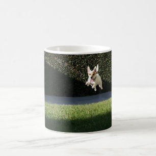 Taza de Jack que vuela Russell