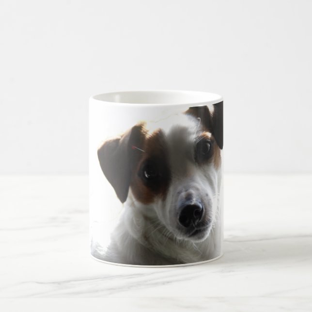 Taza de Jack Russell (Centro)