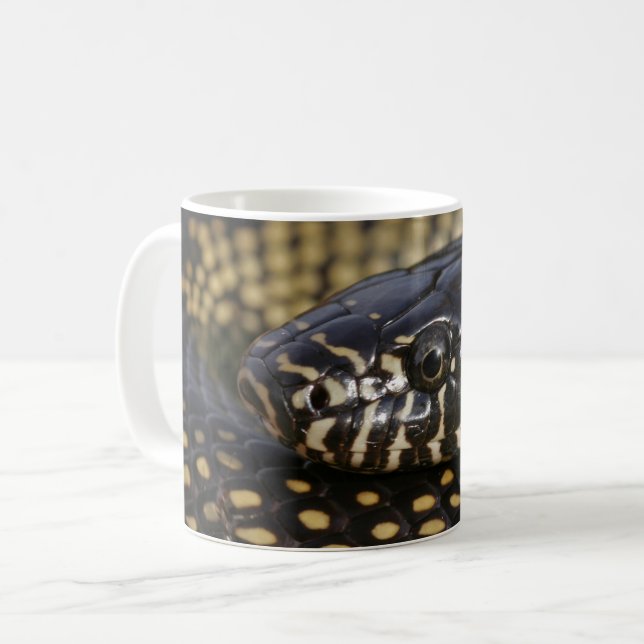 Taza de Kingsnake del desierto (Anverso izquierdo)