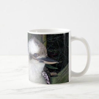 Taza de Kookaburras
