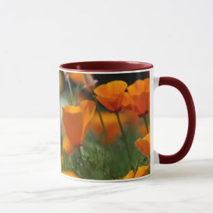 Taza de la amapola de California