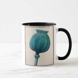 TAZA DE LA AMAPOLA DE OPIO