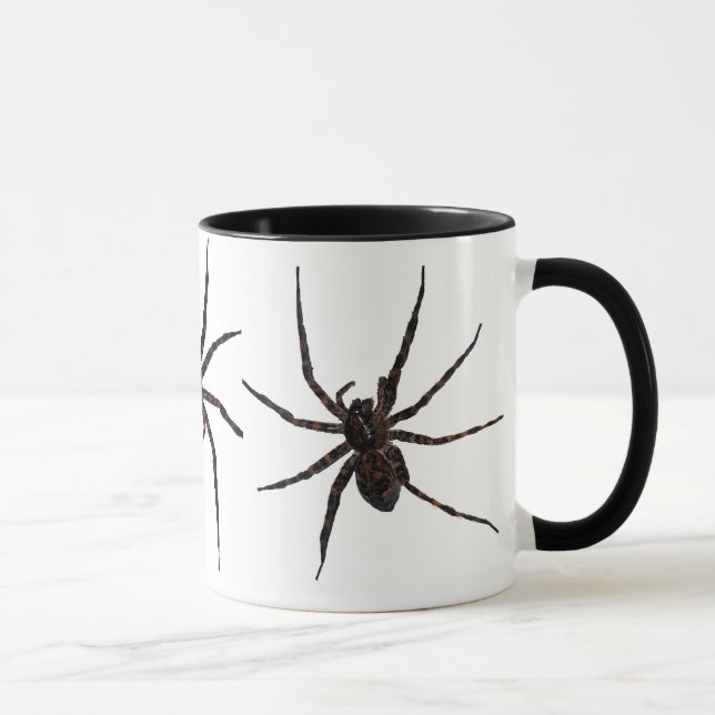 Taza de la araña de lobo (Derecha)