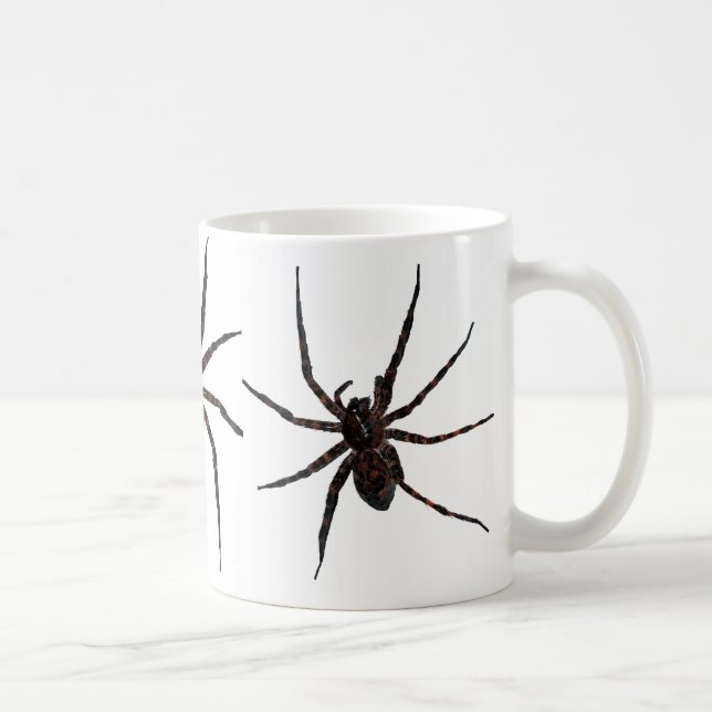 Taza de la araña de lobo (Derecha)