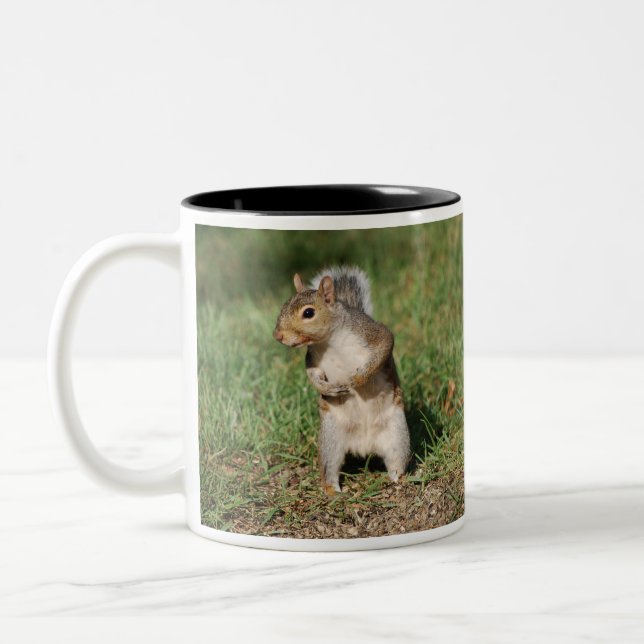 Taza de la ardilla de gris del este (Izquierda)
