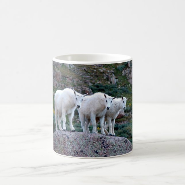 Taza de la cabra de montaña del bebé (Centro)
