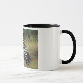 Taza de la cebra