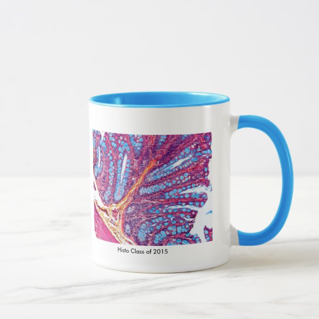 taza de la clase del histo (Derecha)