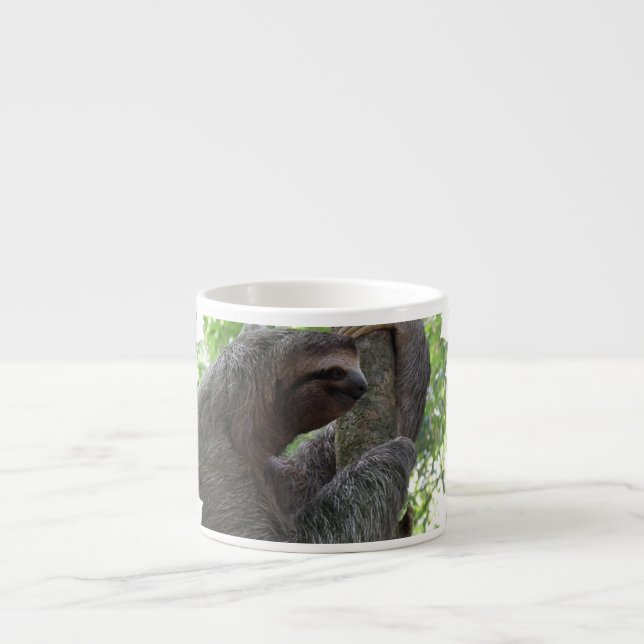 Taza de la especialidad de la pereza del árbol que (Frente)