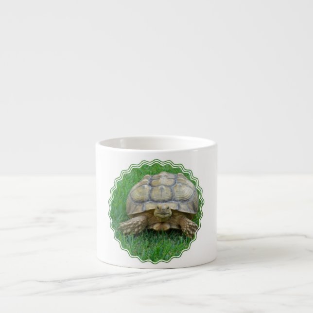 Taza de la especialidad de la tortuga (Frente)