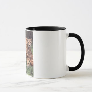 Taza de la familia del guepardo