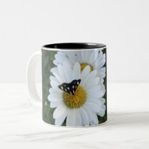 Taza de la flor de la margarita
