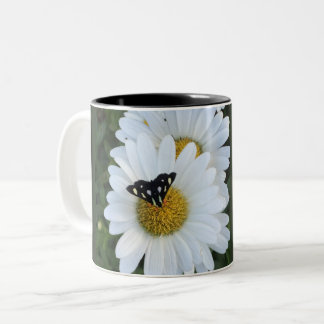Taza de la flor de la margarita