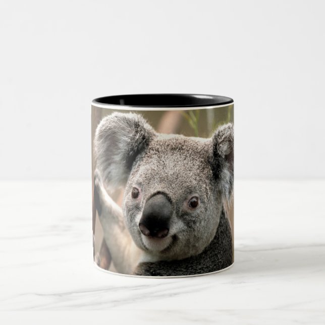 Taza de la koala (Centro)