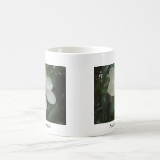 Taza de la magnolia