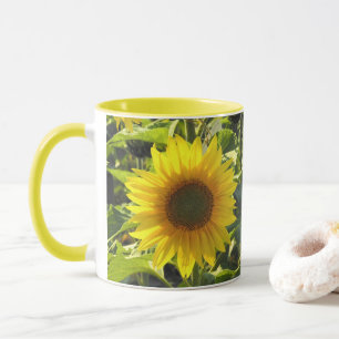 Taza de la mañana del girasol