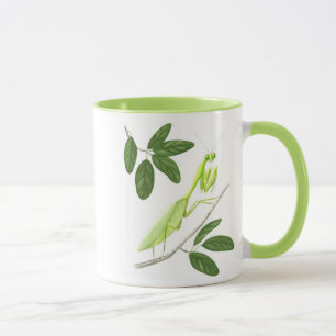 Taza de la mantis religiosa