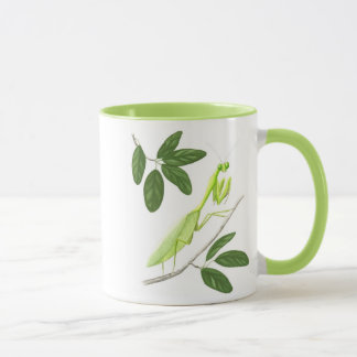 Taza de la mantis religiosa