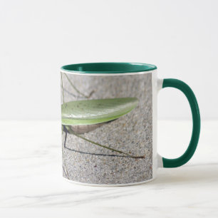 Taza de la mantis religiosa