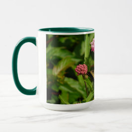 Taza de la mariposa con las flores del milkweed