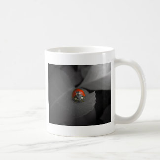 Taza de la mariquita