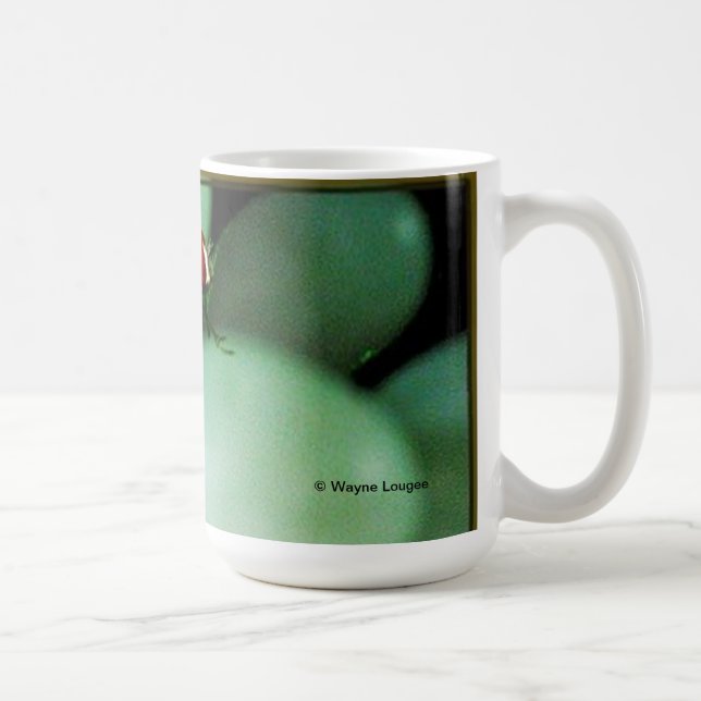 Taza de la mosca de la casa (Derecha)